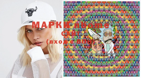 шишки Сатка