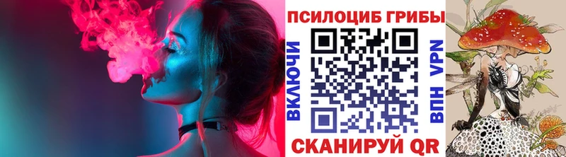 Купить закладки  Ессентукская  Галлюциногенные грибы Cubensis 